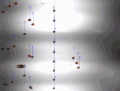 测量多种粒子类型