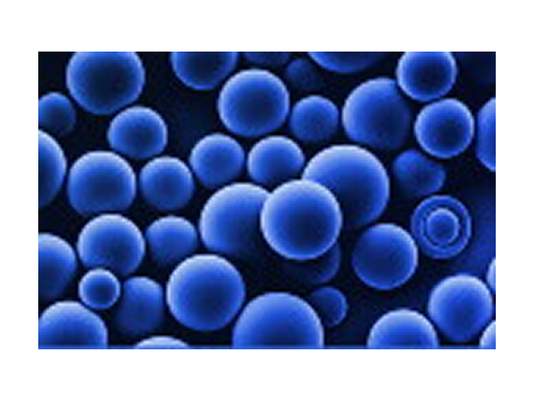 荧光聚合物颗粒（FPP）