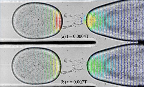 在Dantec网站注册，获得最新的软件更新