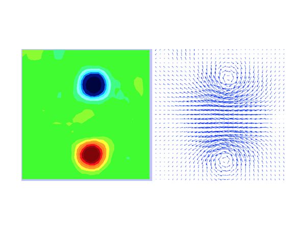 从泵出口旋涡对的动​​画